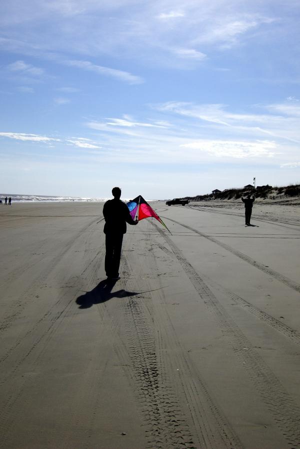 Duck - Kite Flying