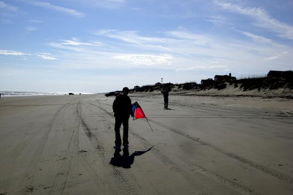 Duck - Kite Flying