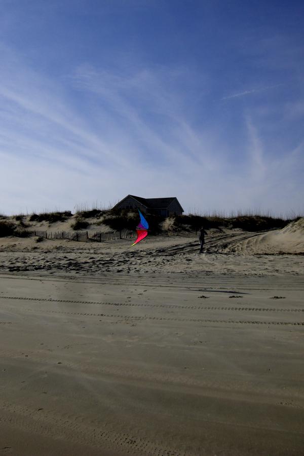 Duck - Kite Flying