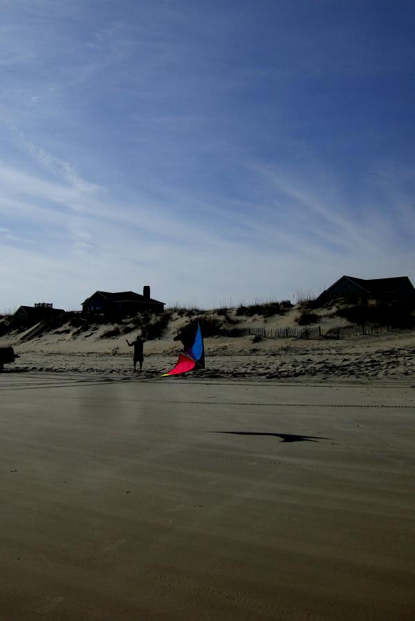 Duck - Kite Flying