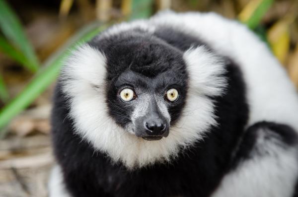 Duisburg 20160903 MAP_9034