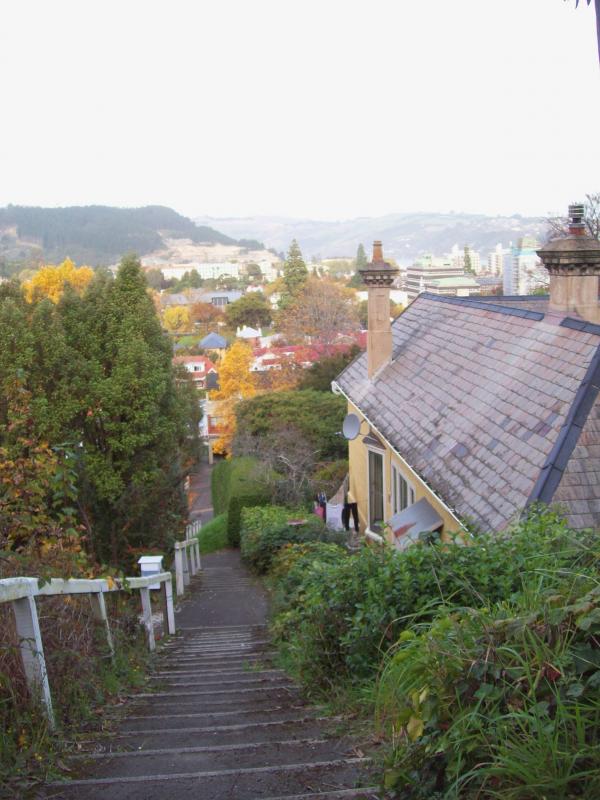 Dunedin steps and landscape