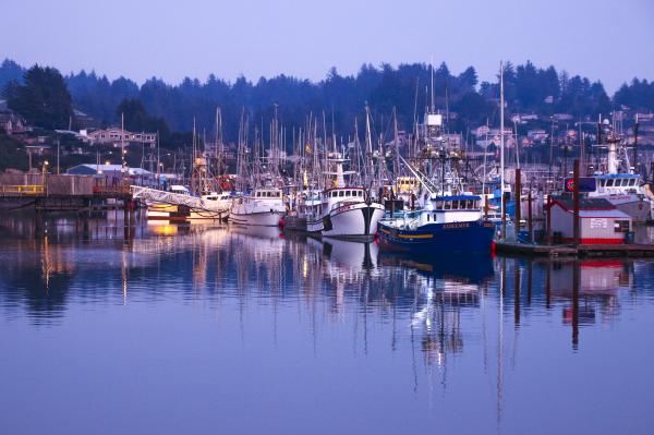 Dusk, Newport Bay, Oregon