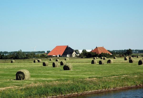 Dutch Farmland