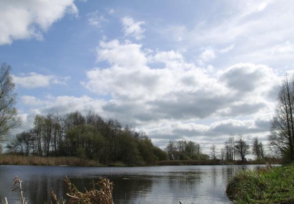 Dutch lake view