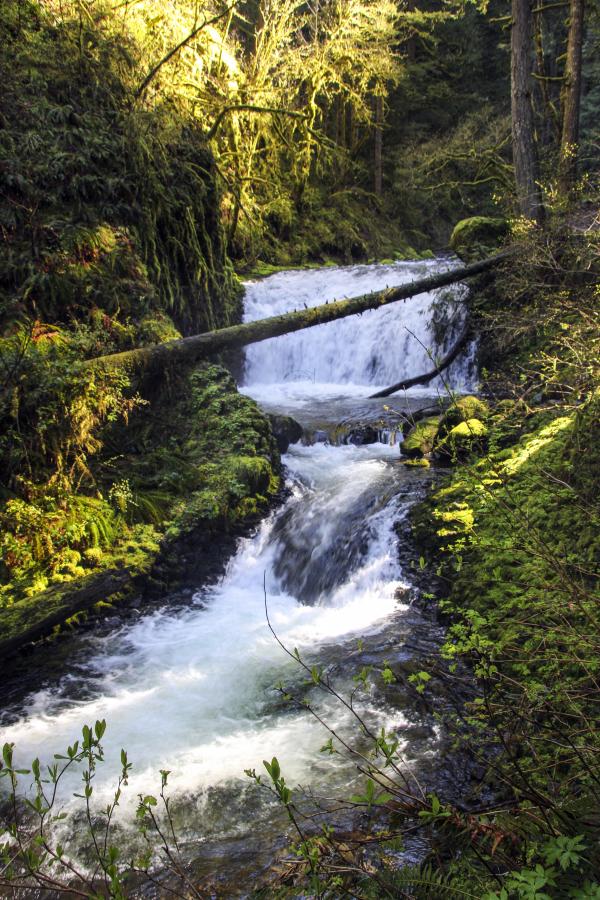Dutchman Falls, Middle Falls, Oregon