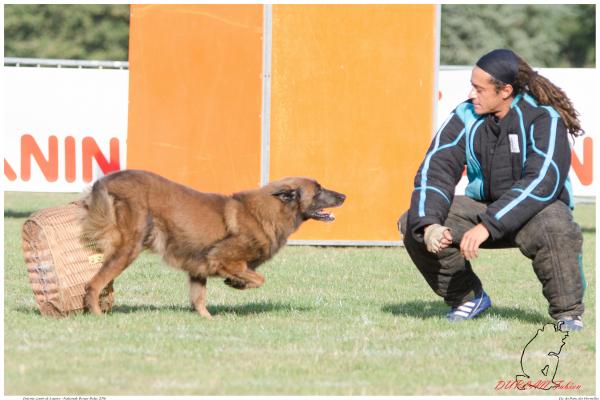 E-T du Musher Pessel M ----4732