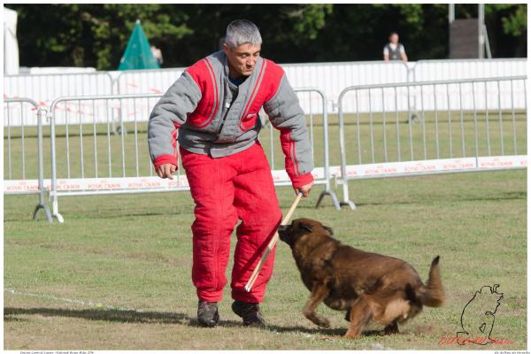 E-T du Musher Pessel M ----4791