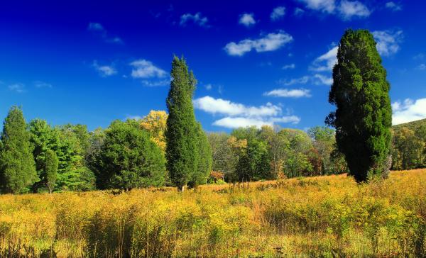 Early Autumn (2)