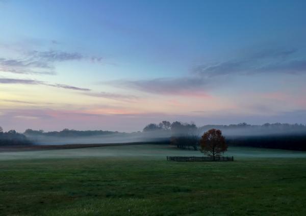 Early morning fog over Princeton Battlefield Park