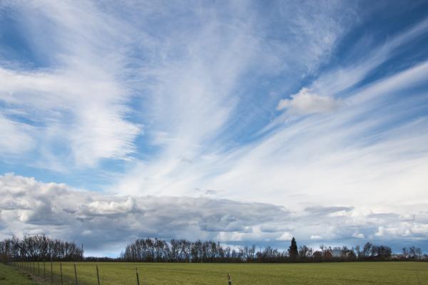 Early Spring in Willamette Valley