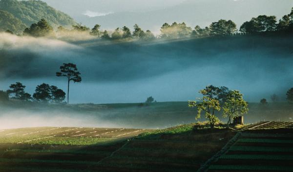 Early sunrays