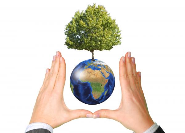Earth with Tree between Hands - Ecology Concept