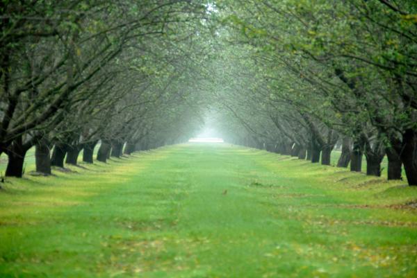 Earth's Natural Hallway in Early Mo