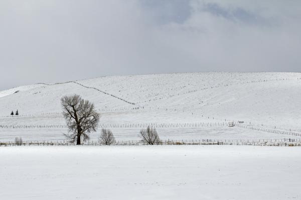 Eastern Oregon ranch in snow