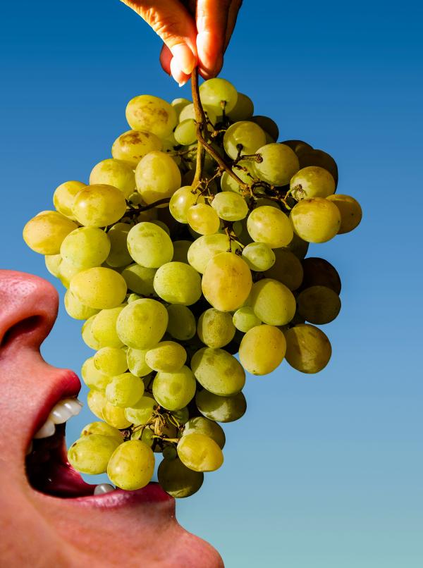 Eating Grapes