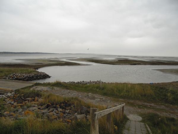 Een witte polder