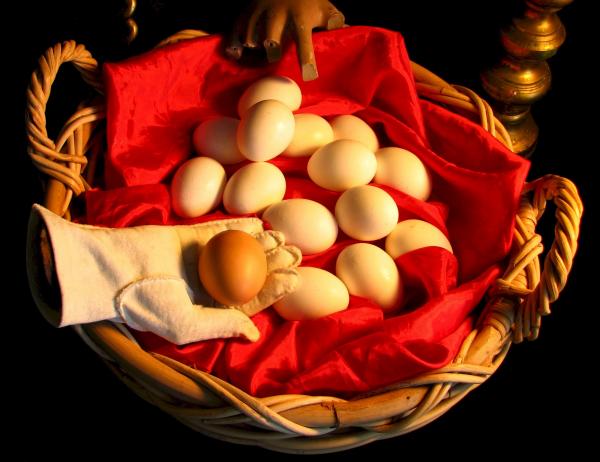 Egg Basket