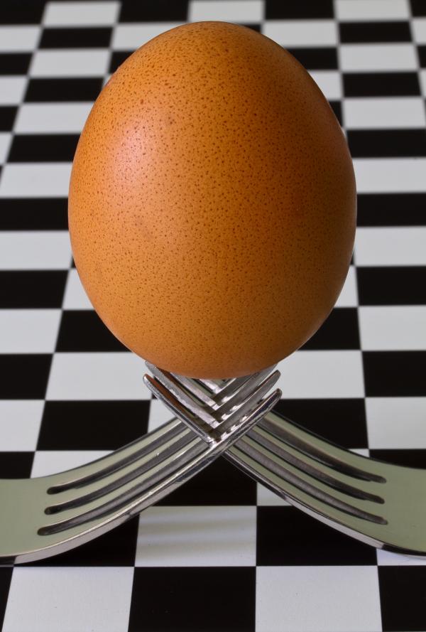 Egg on 2 Forks