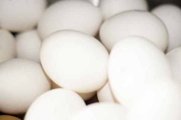 Eggs