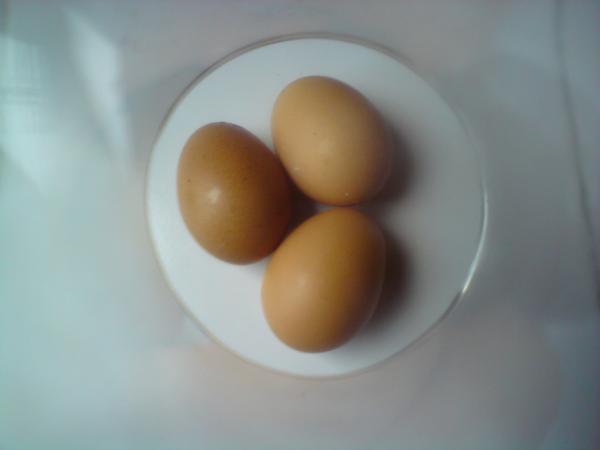 Eggs