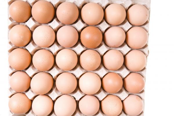 Eggs