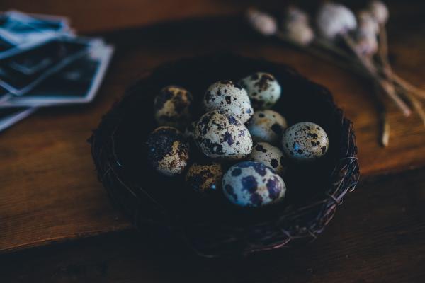 Eggs