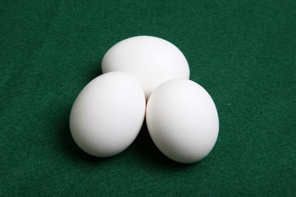 Eggs