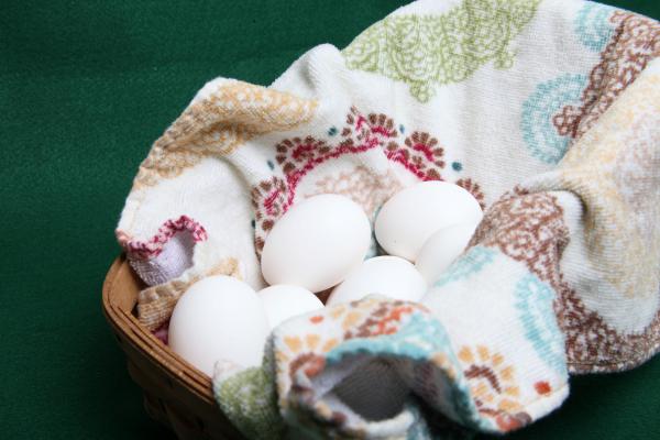 Eggs in a basket