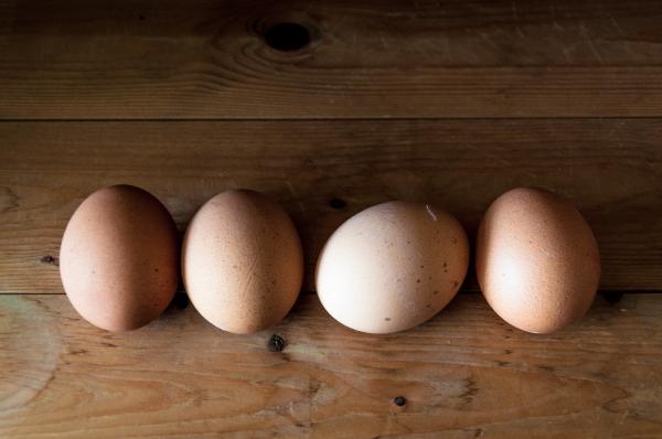 Eggs on wood background