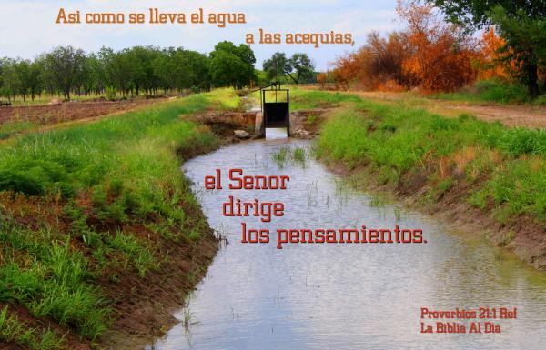 El Senor Dirige Los Pensamientos