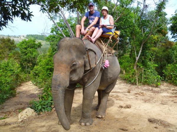 Elephant trekking