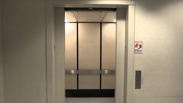 Elevator doors