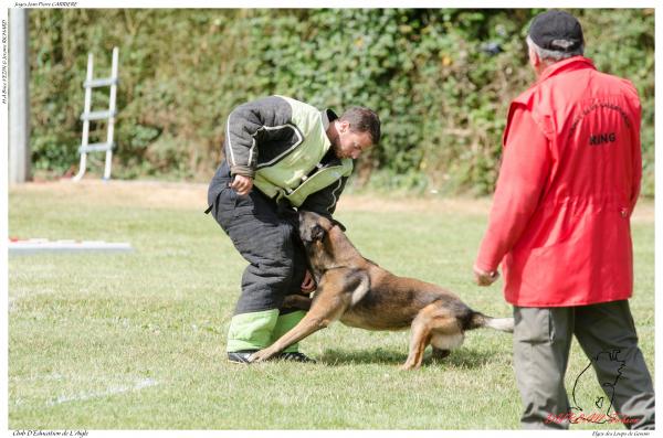 Elgos des Loups de Genain DUPLAN E - -3500