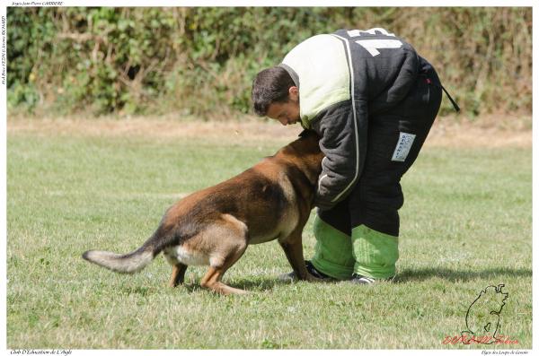 Elgos des Loups de Genain DUPLAN E - -3502