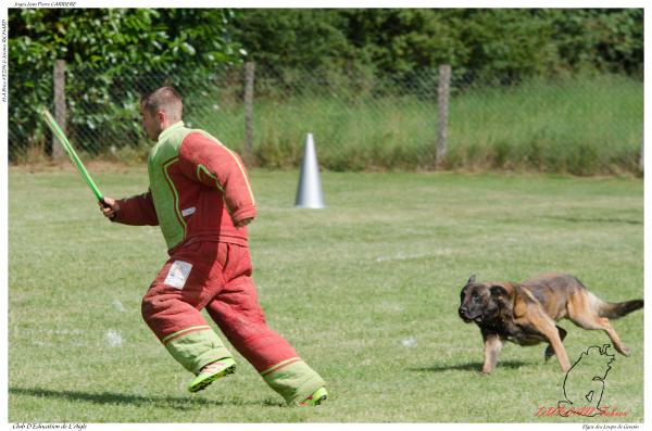 Elgos des Loups de Genain DUPLAN E - -3525