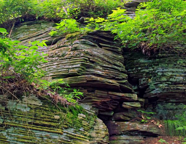 Elk Knob Trail (4)