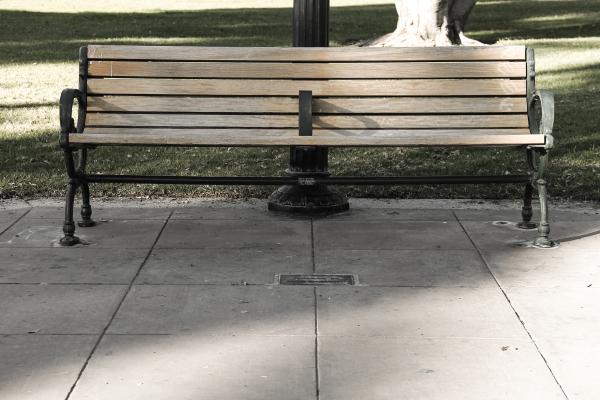 Empty Park Bench
