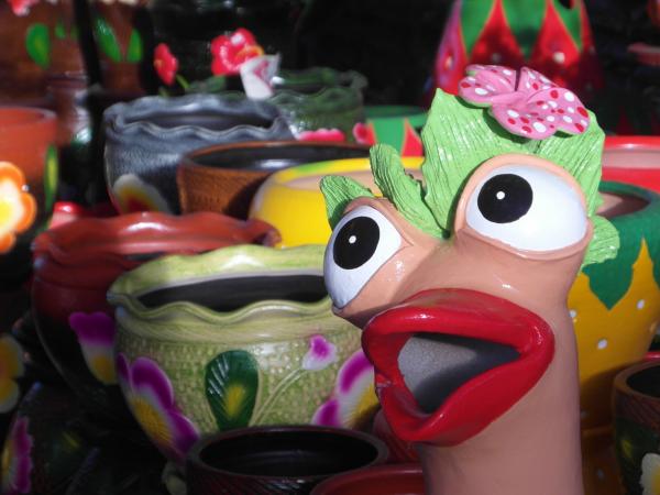 Emu Flower Pot