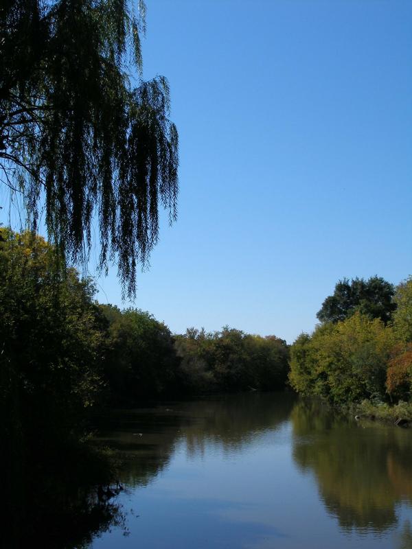 Enchanted Lagoon