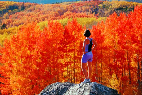 Enjoy the fall