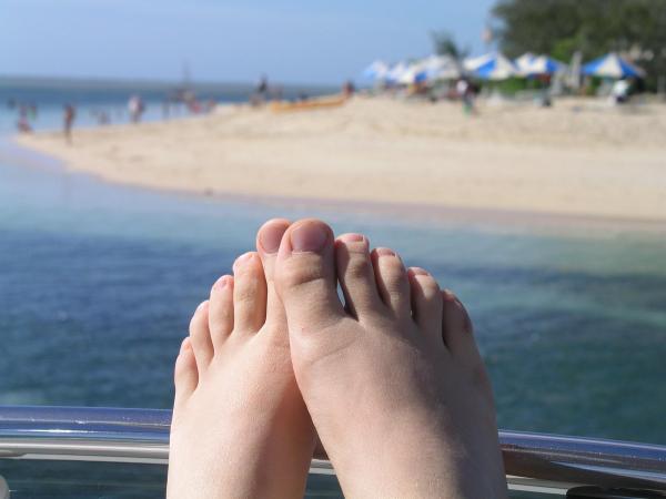 Enjoying a tropical holiday