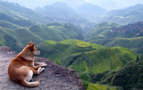 Enjoying the view