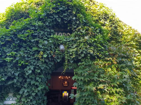 Entrance to the building hung with plants