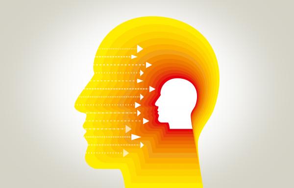 Environmental Inputs to the Brain - Perception Concept