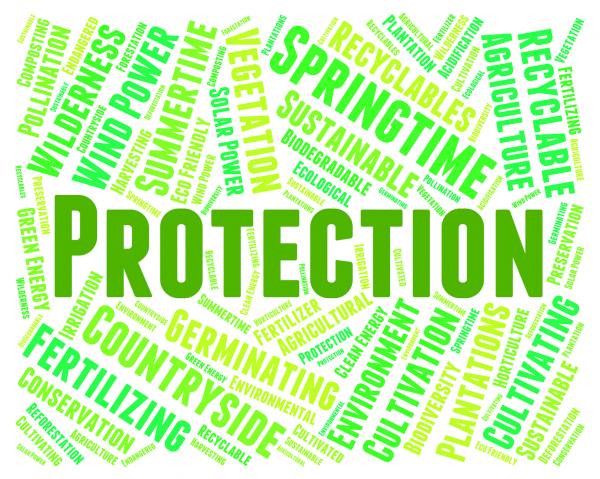 Environmental Protection Means Earth Day And Conservation