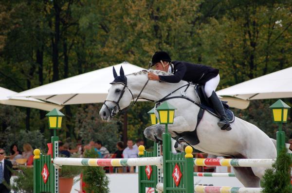 Equestrian