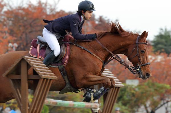 Equestrian