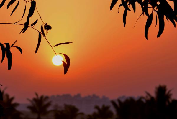Evening
