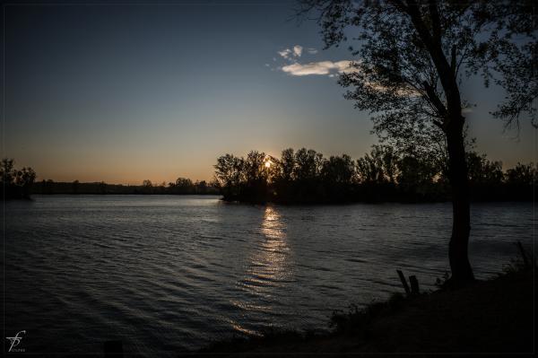 Evening about the Lake